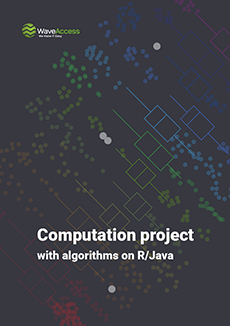 Computation project with algorithms on R/Java